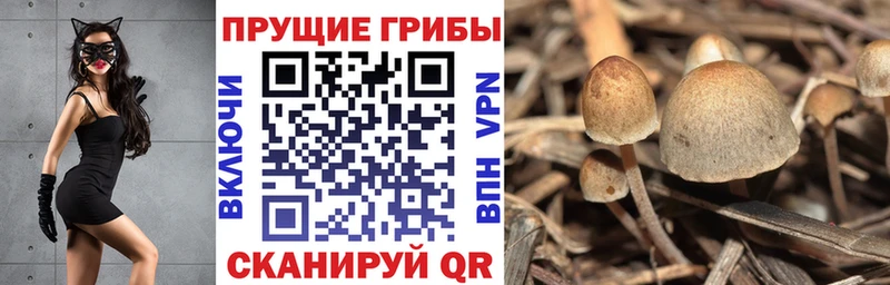 Галлюциногенные грибы GOLDEN TEACHER  Кашира 