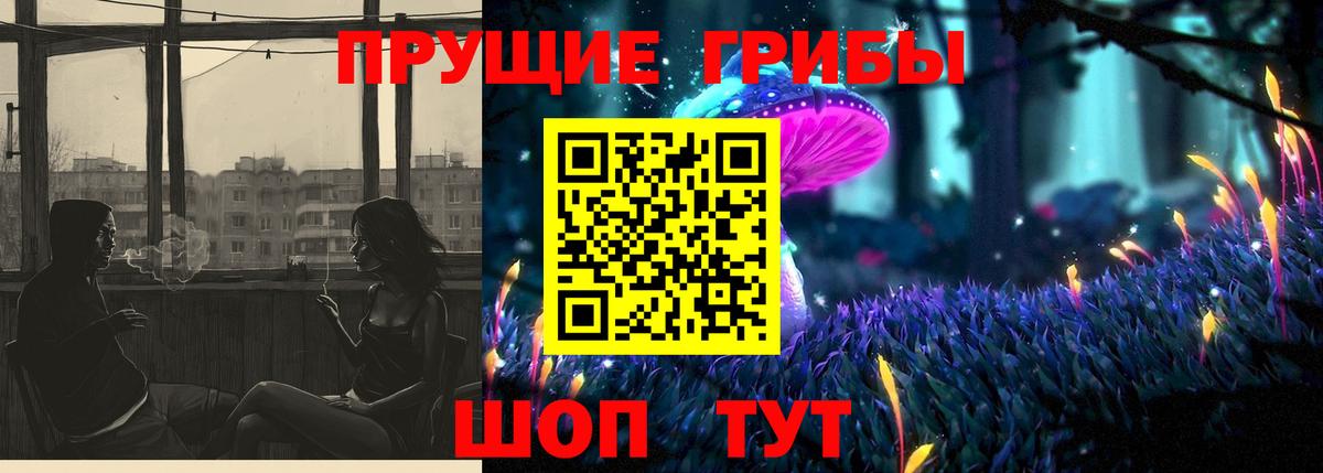 Кашира  Галлюциногенные грибы MAGIC MUSHROOMS  Вход с VPN 
