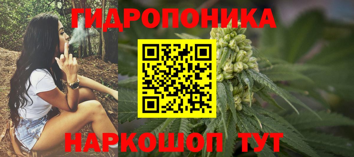 Бошки Шишки план Кашира
